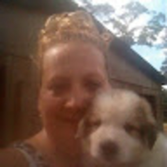 amysbeagles
